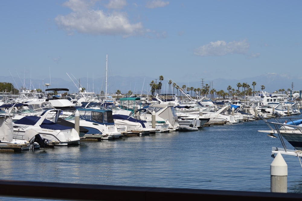 a bunch of boats that are in the water