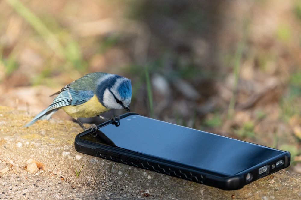 a small bird sitting on top of a cell phone