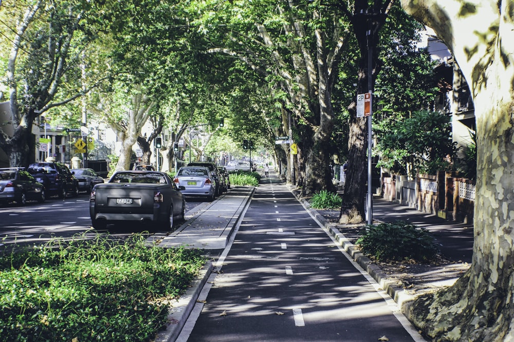 a street lined with trees and parked cars