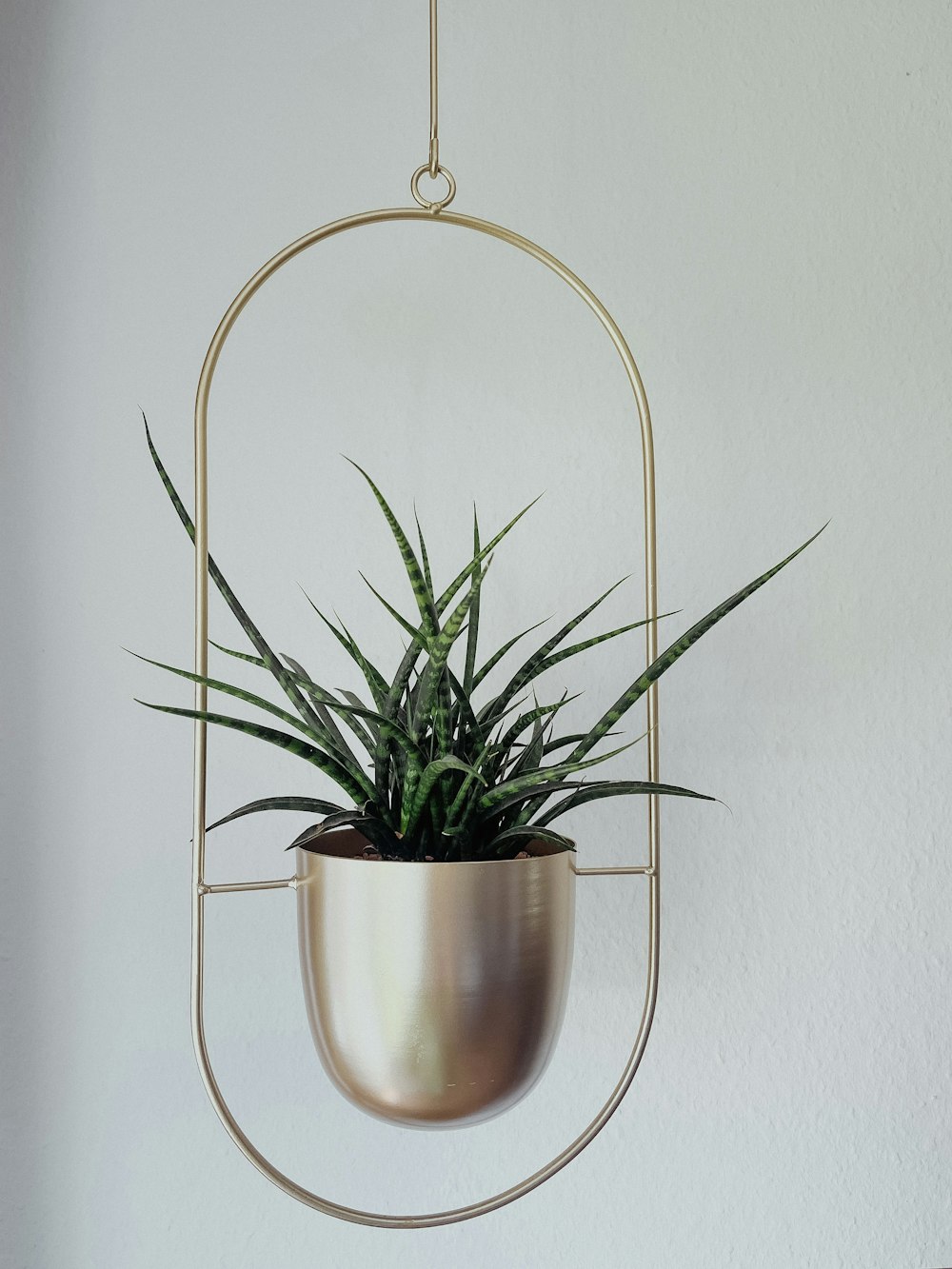 a hanging planter with a plant inside of it