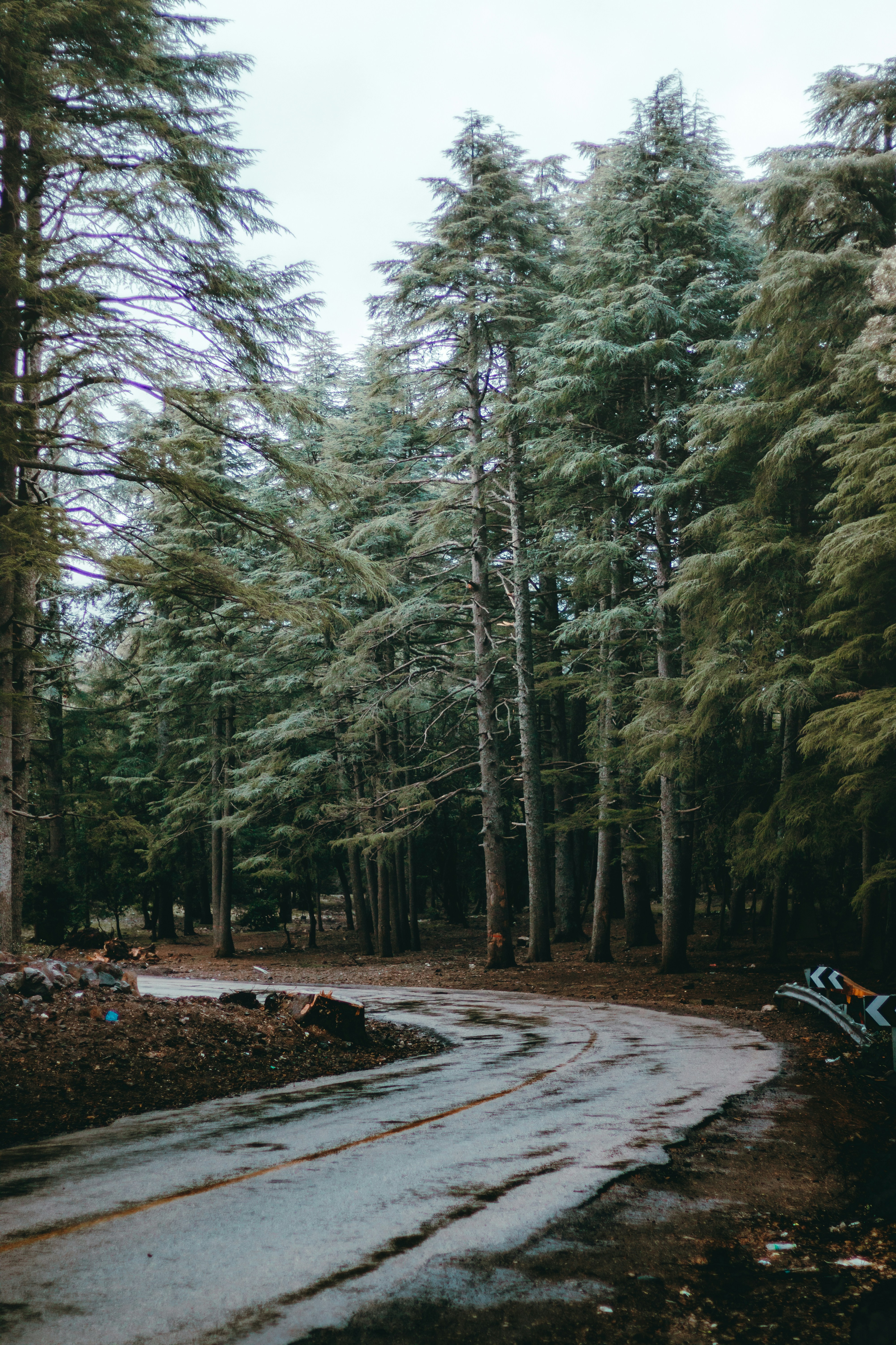 Photo by salaheregouane