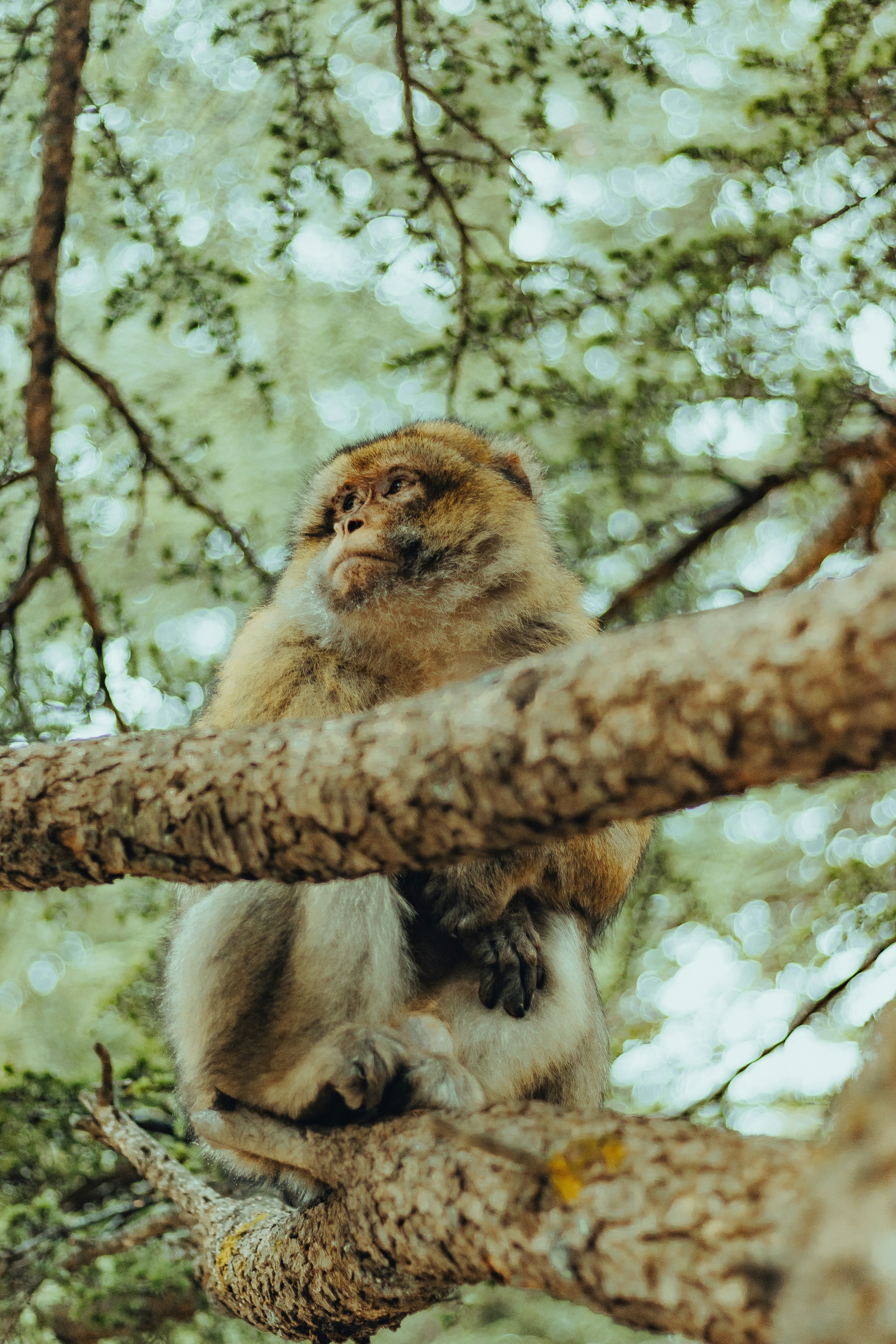 Photo by salaheregouane