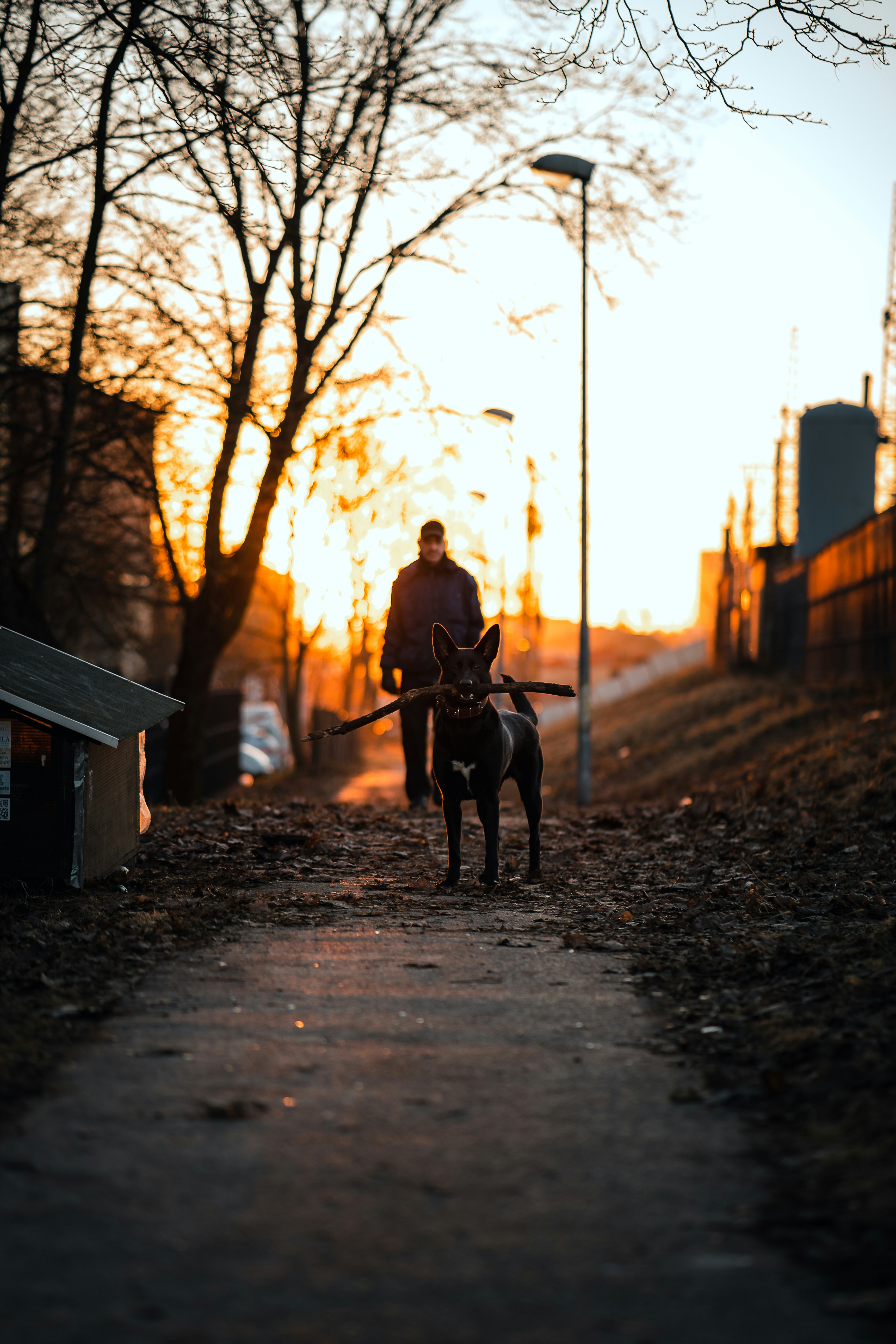 Photo by skvaad