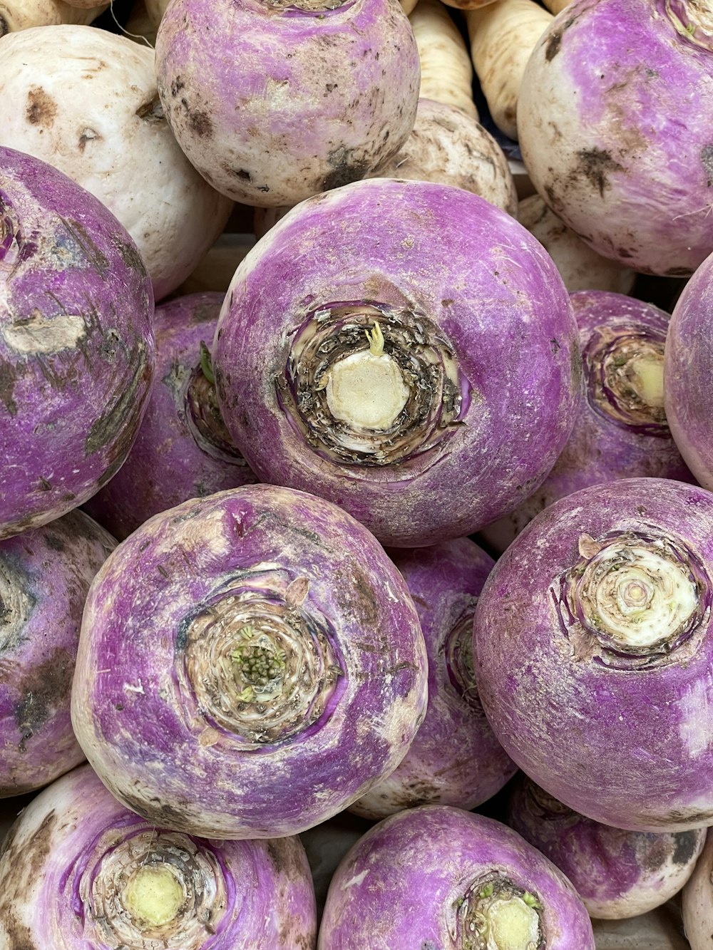 a pile of purple turnips sitting next to each other