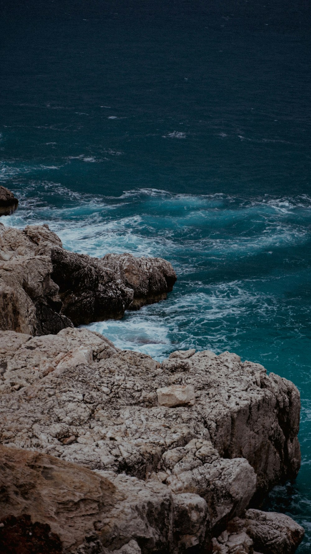 a bird sitting on a rock near the ocean