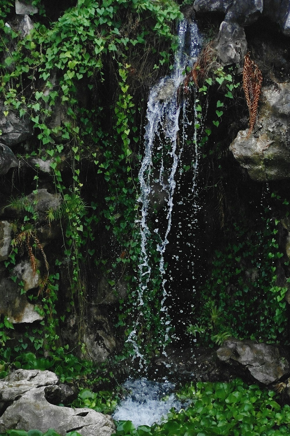 a small waterfall in the middle of a lush green forest