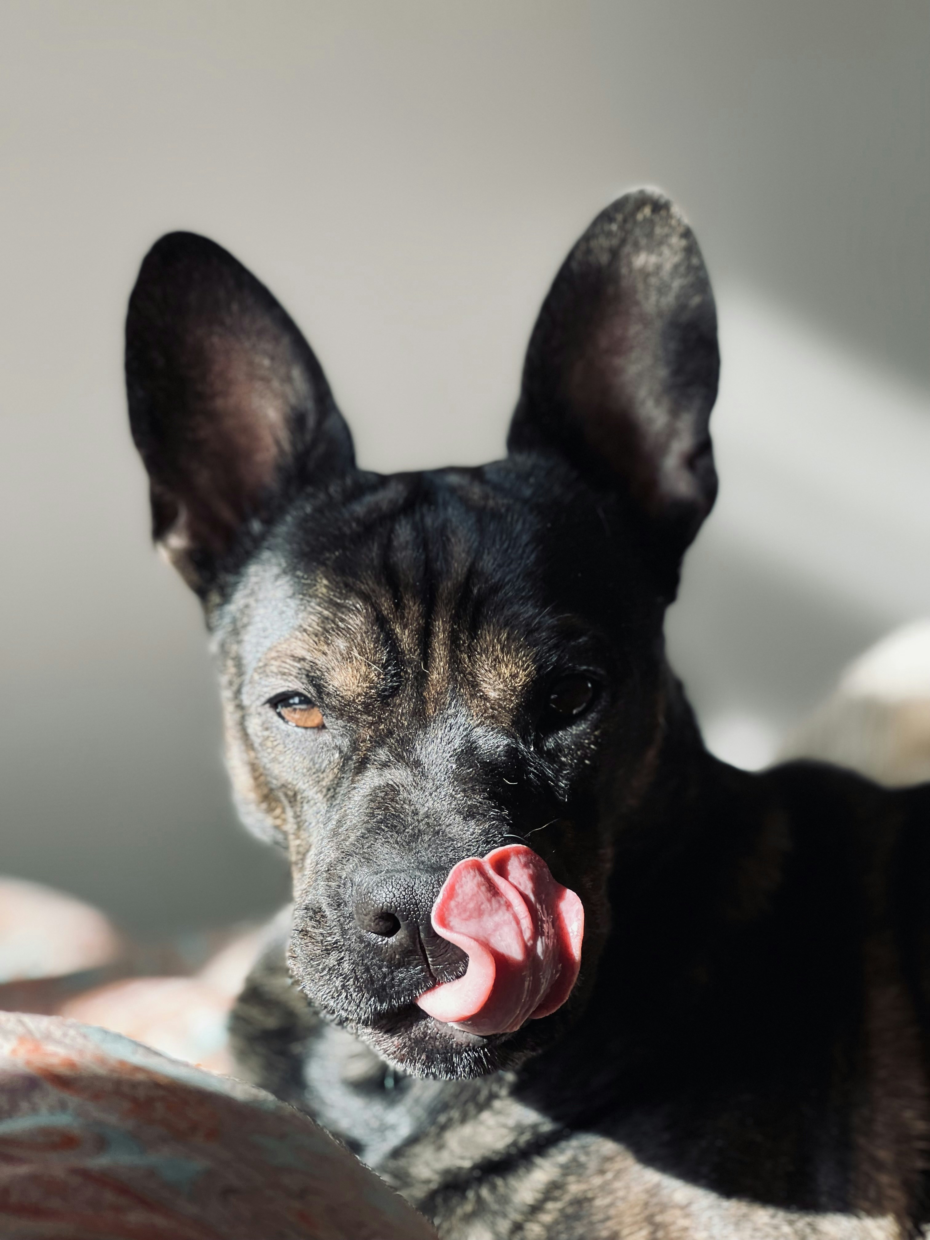 Photo by dmitry_vasilyev