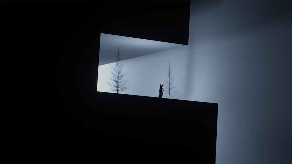 a person standing in a dark room with trees
