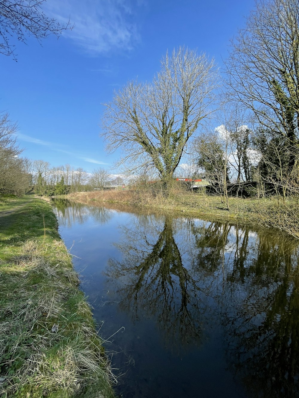 a body of water surrounded by trees and grass