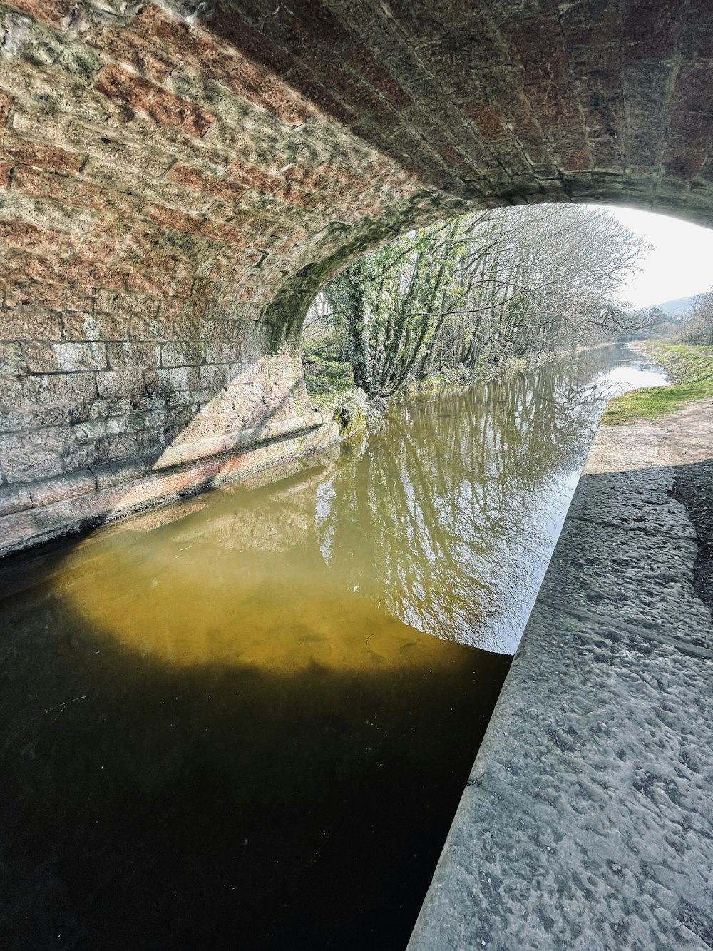 a river under a bridge with water under it