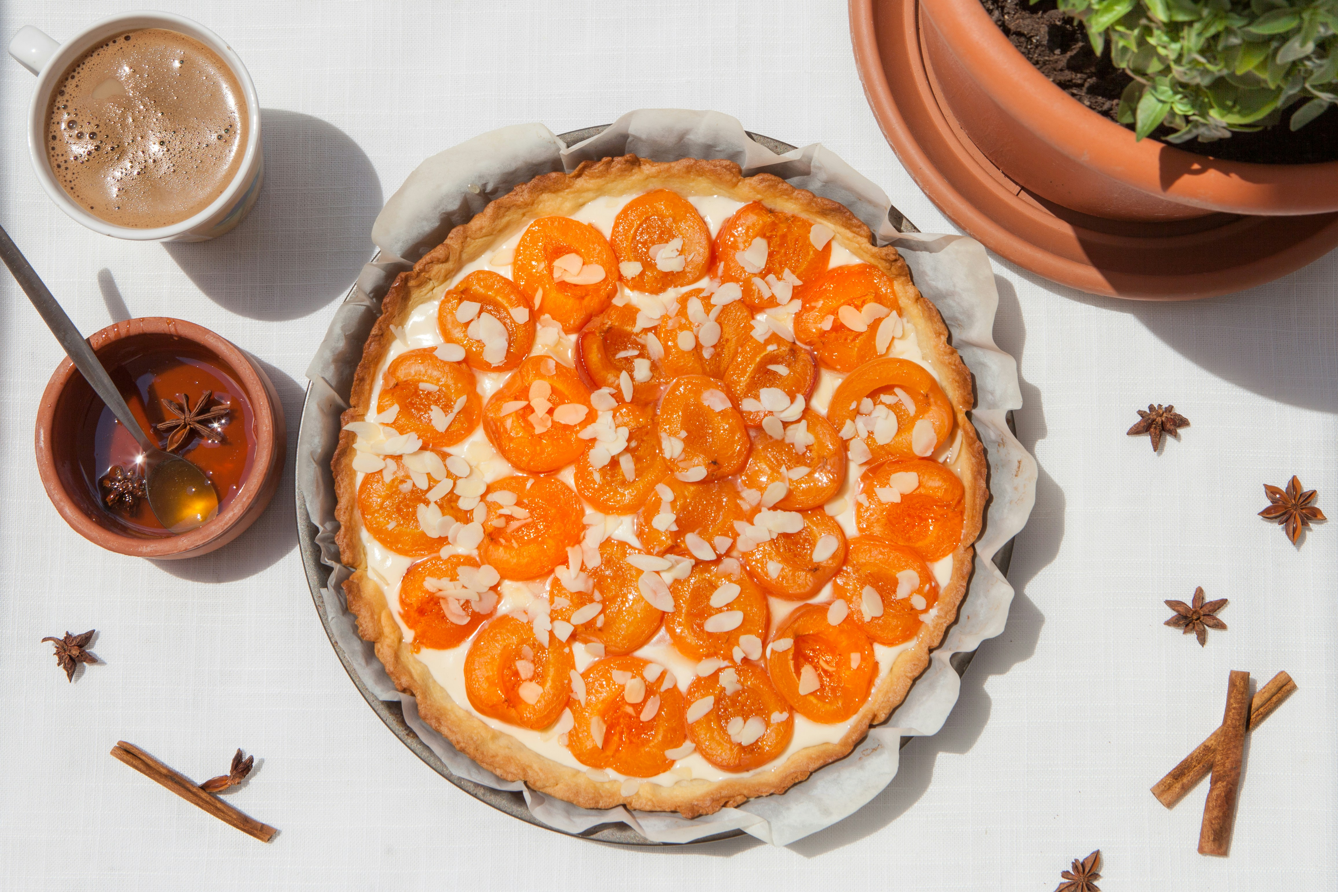 Eine Pizza auf einem Tisch neben einer Topfpflanze