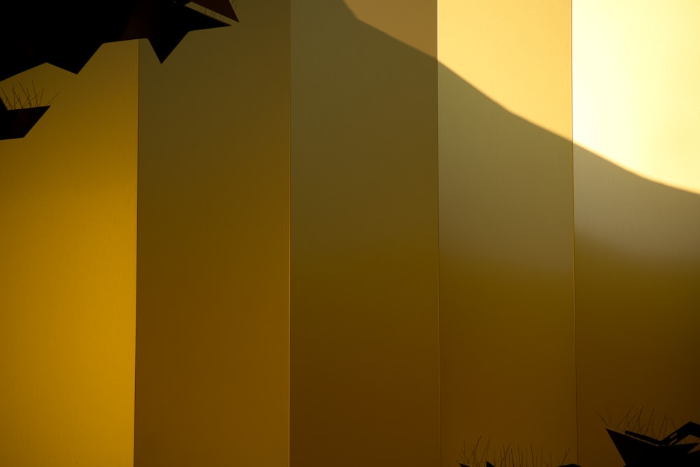 a shadow of a bird on a wall