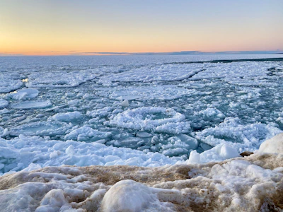 a body of water covered in lots of ice