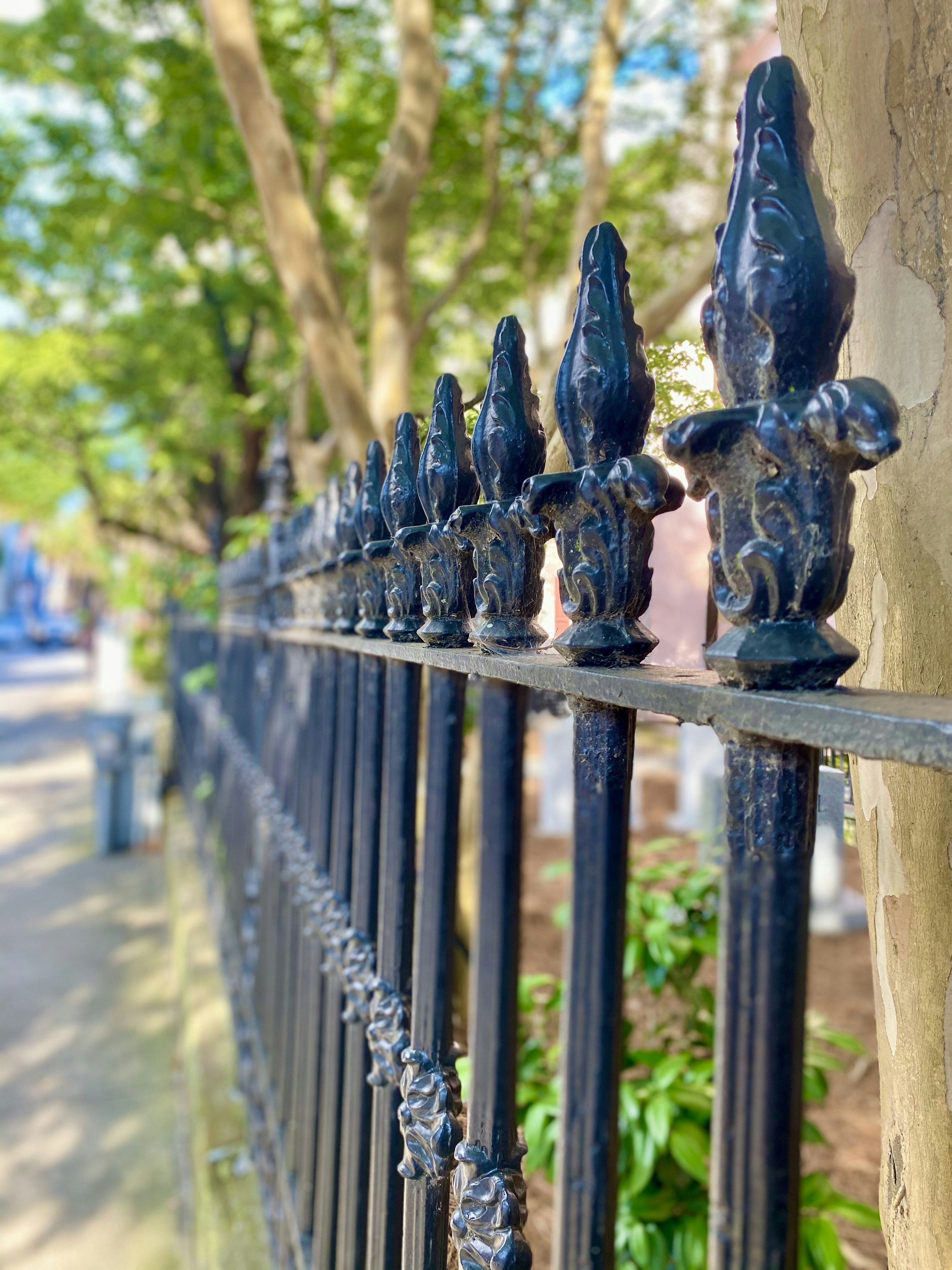 a black iron fence with a tree in the background