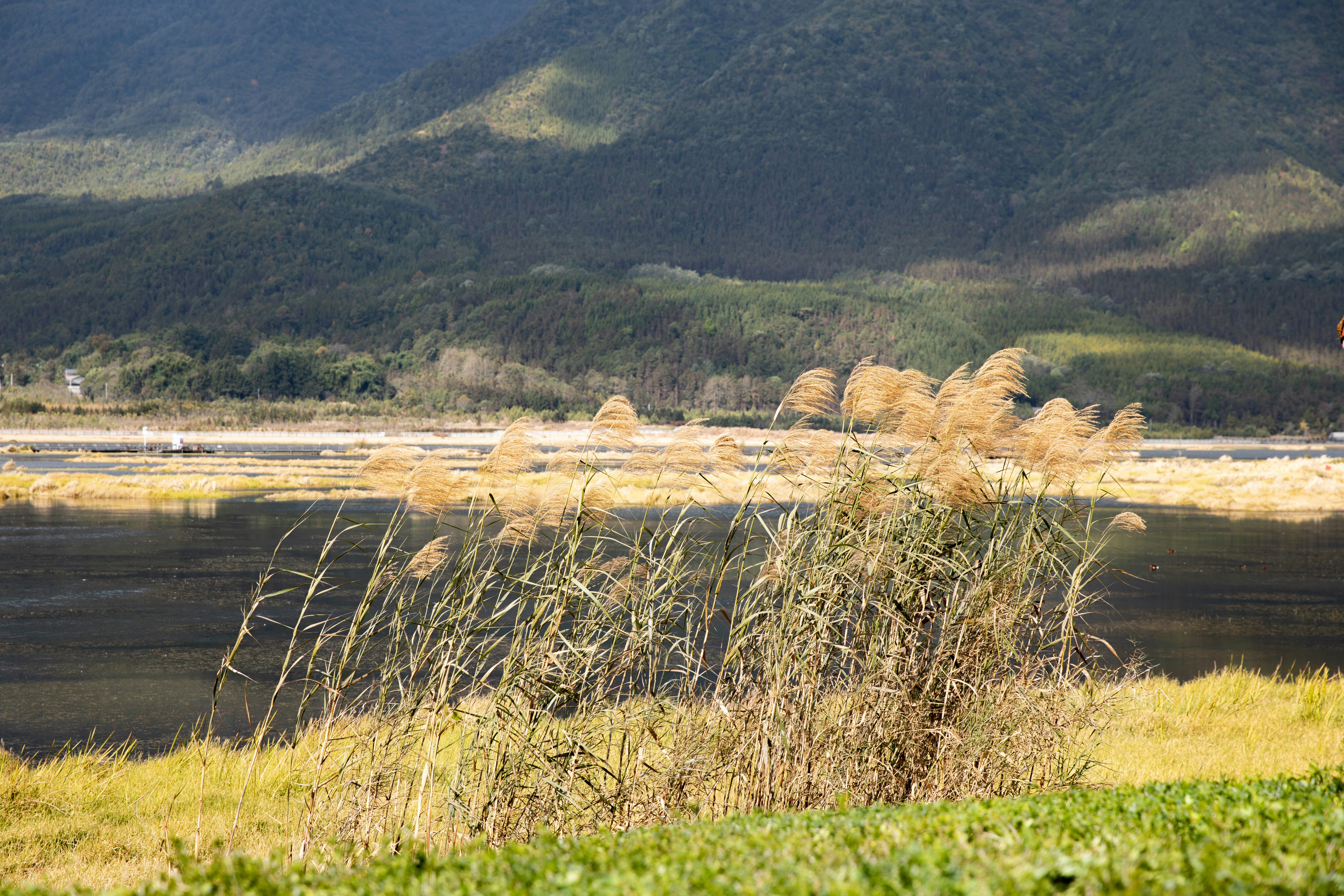 a grassy area with a body of water and mountains in the background