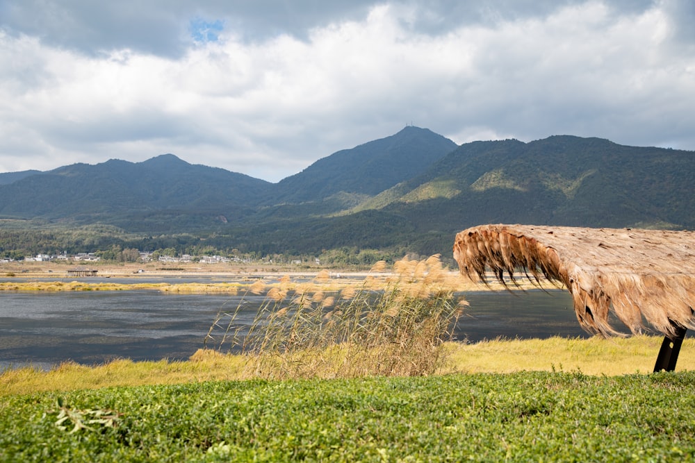 a thatched roof over a body of water with mountains in the background