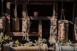 Wooden panels hang on a rustic wooden frame, depicting intricate carvings of human figures and abstract designs. Below the panels, a variety of succulents are planted in wooden containers, adding greenery to the scene. The overall setup has a natural and artistic appeal.