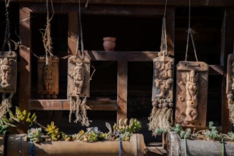 Wooden panels hang on a rustic wooden frame, depicting intricate carvings of human figures and abstract designs. Below the panels, a variety of succulents are planted in wooden containers, adding greenery to the scene. The overall setup has a natural and artistic appeal.