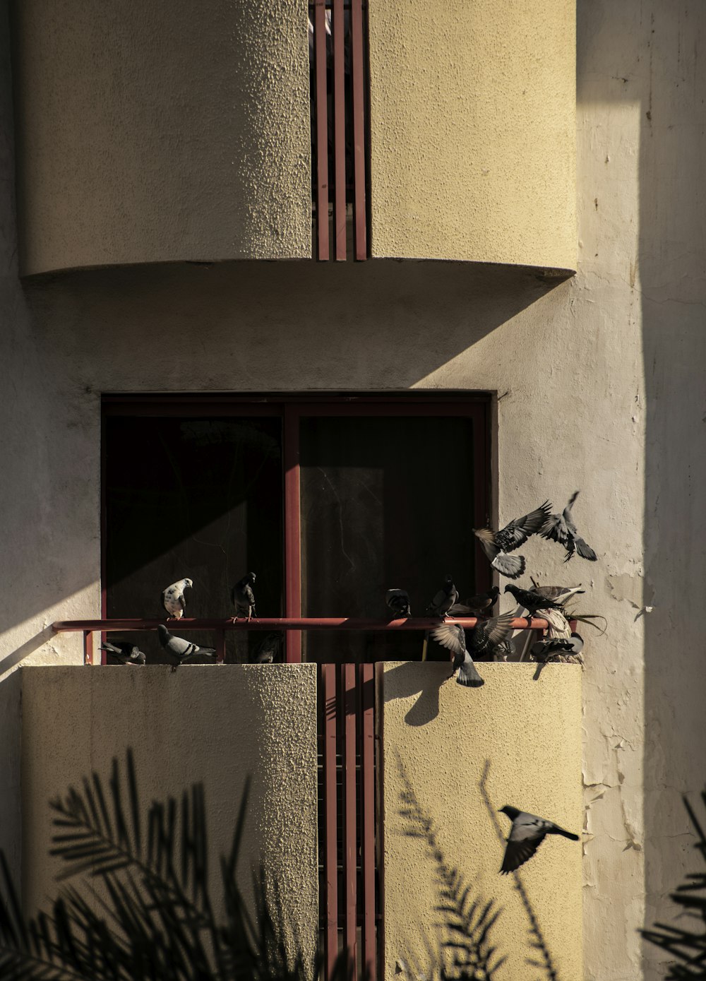 a building with a window and birds on the ledge