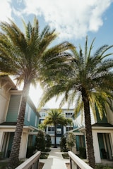 two palm trees in front of a building