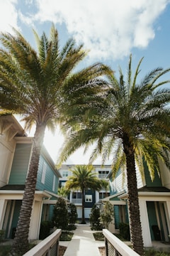 two palm trees in front of a building