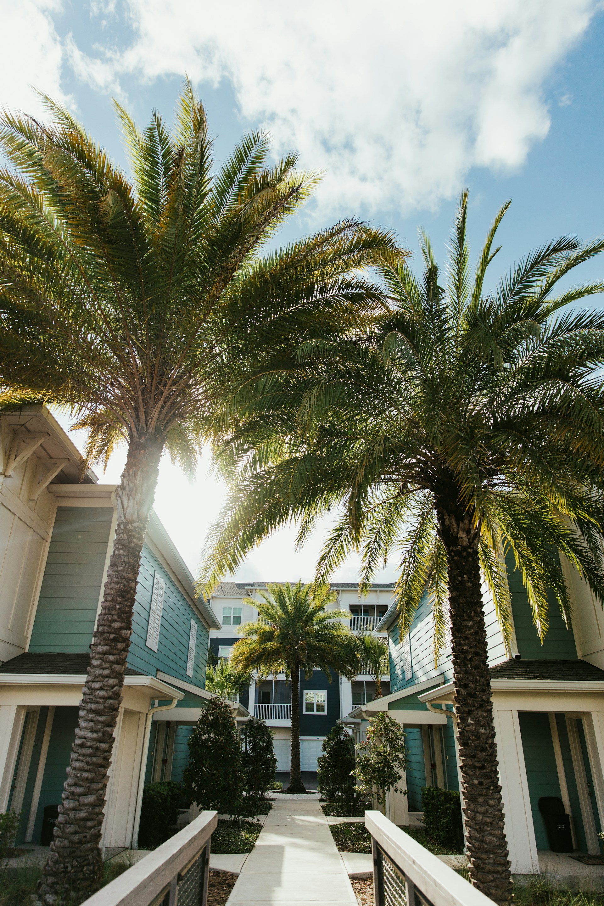 two palm trees in front of a building