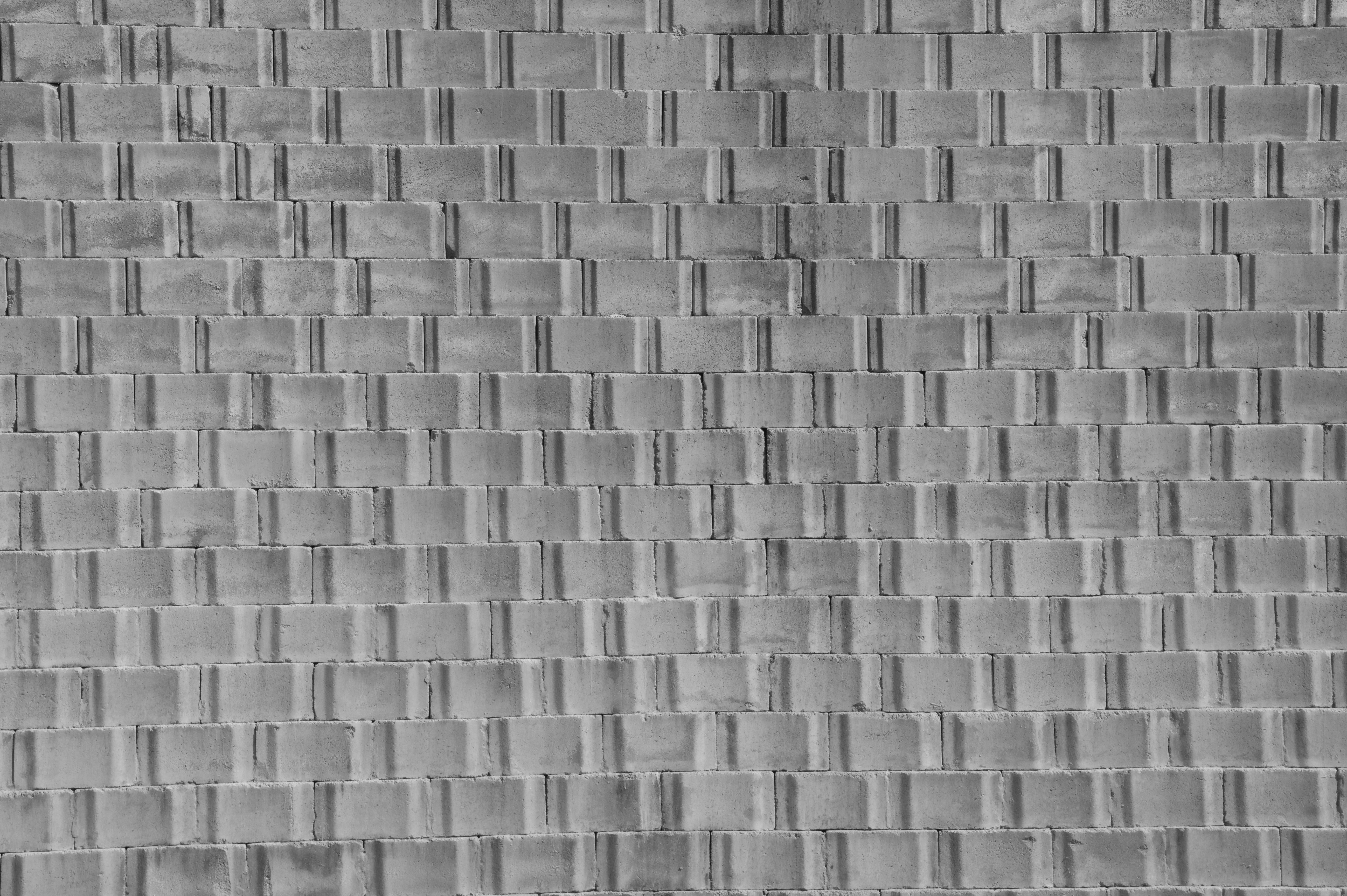 Photo by gladystonefonseca