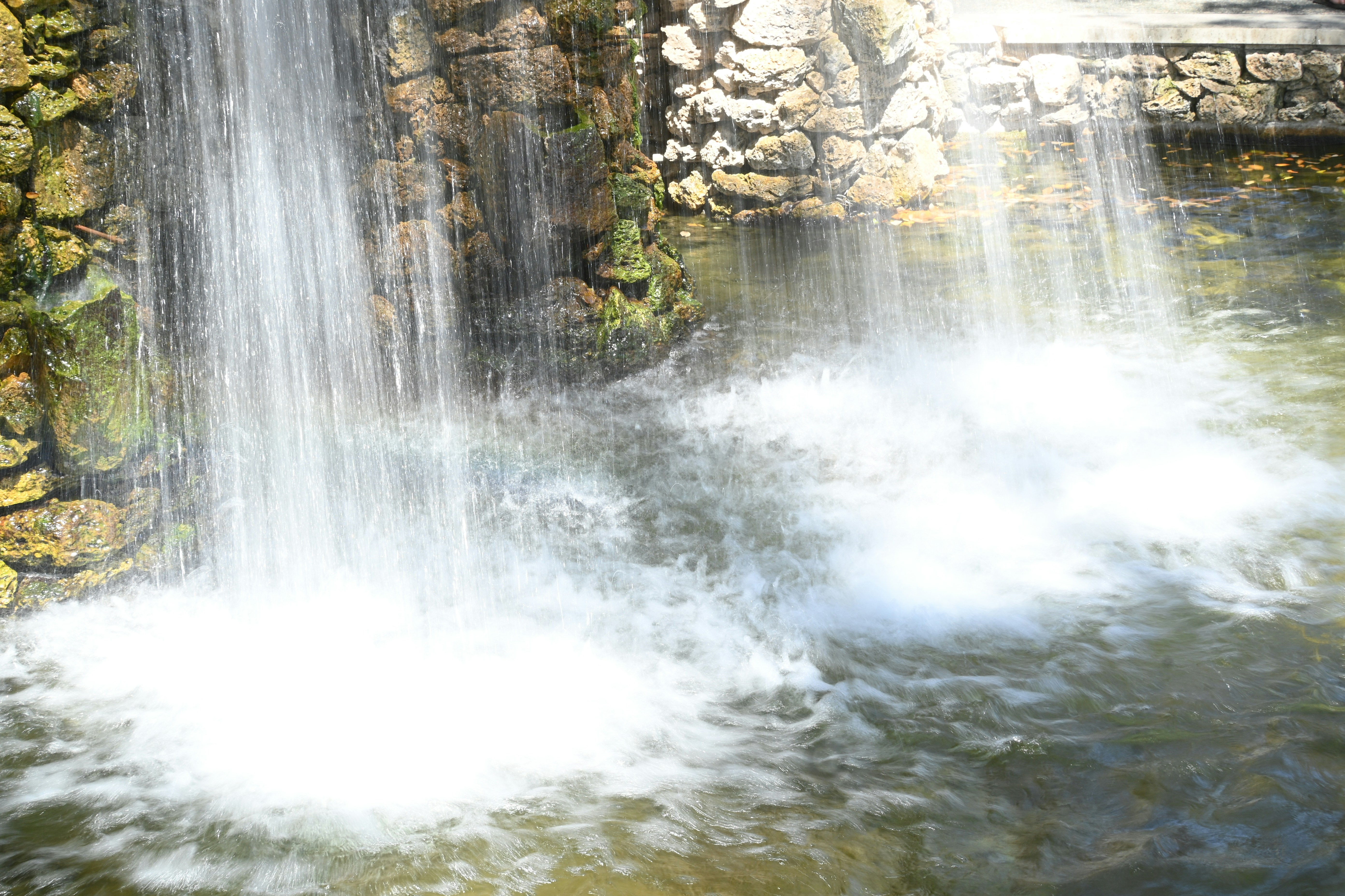 Dallas Arboretum and Botanical Garden photo 2