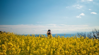 Nature Walk Boosts Brainpower: Science Reveals How a Stroll in the Park Enhances Focus