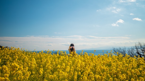 Nature Walk Boosts Brainpower: Science Reveals How a Stroll in the Park Enhances Focus