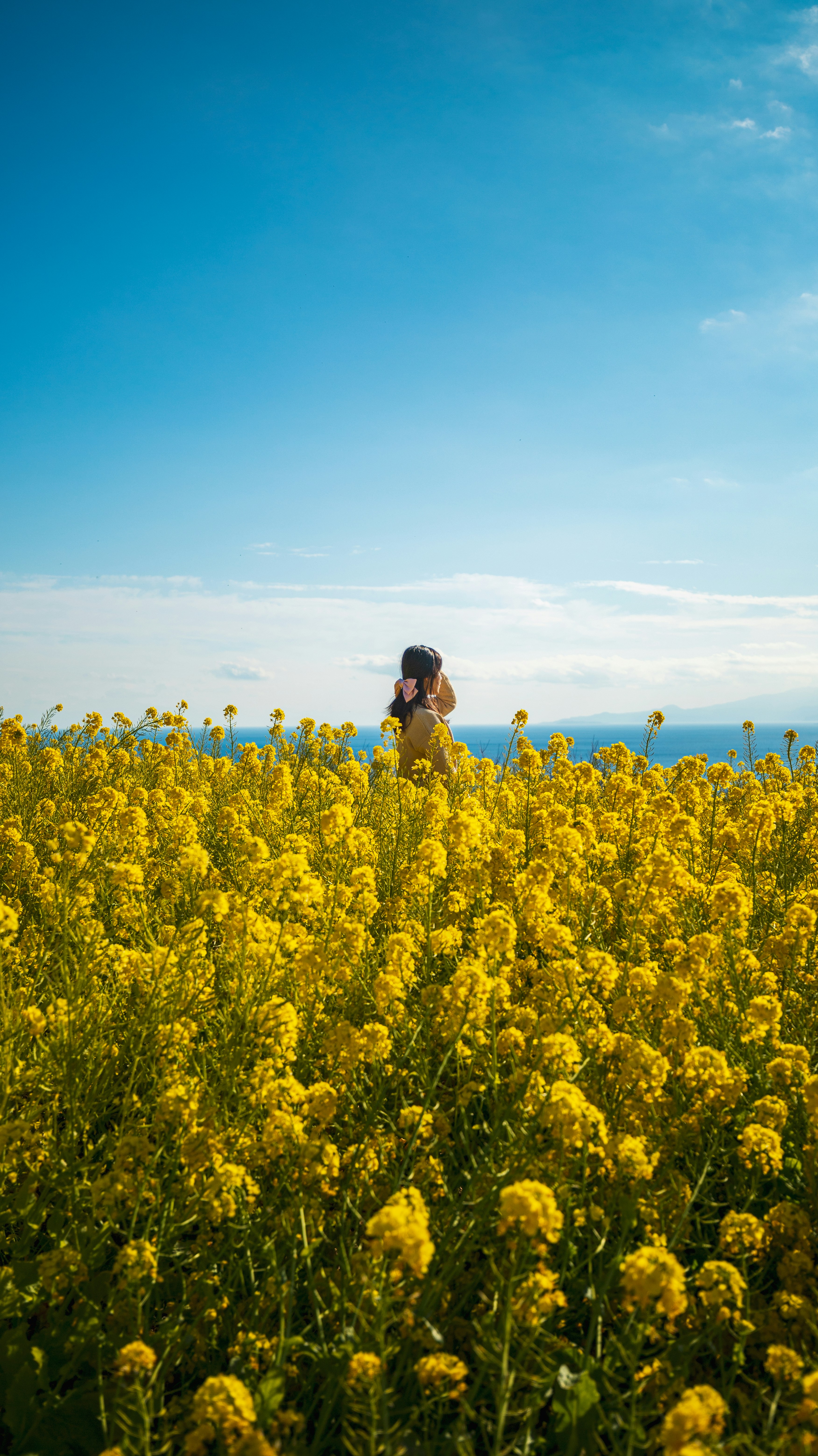 Photo by phonghai649