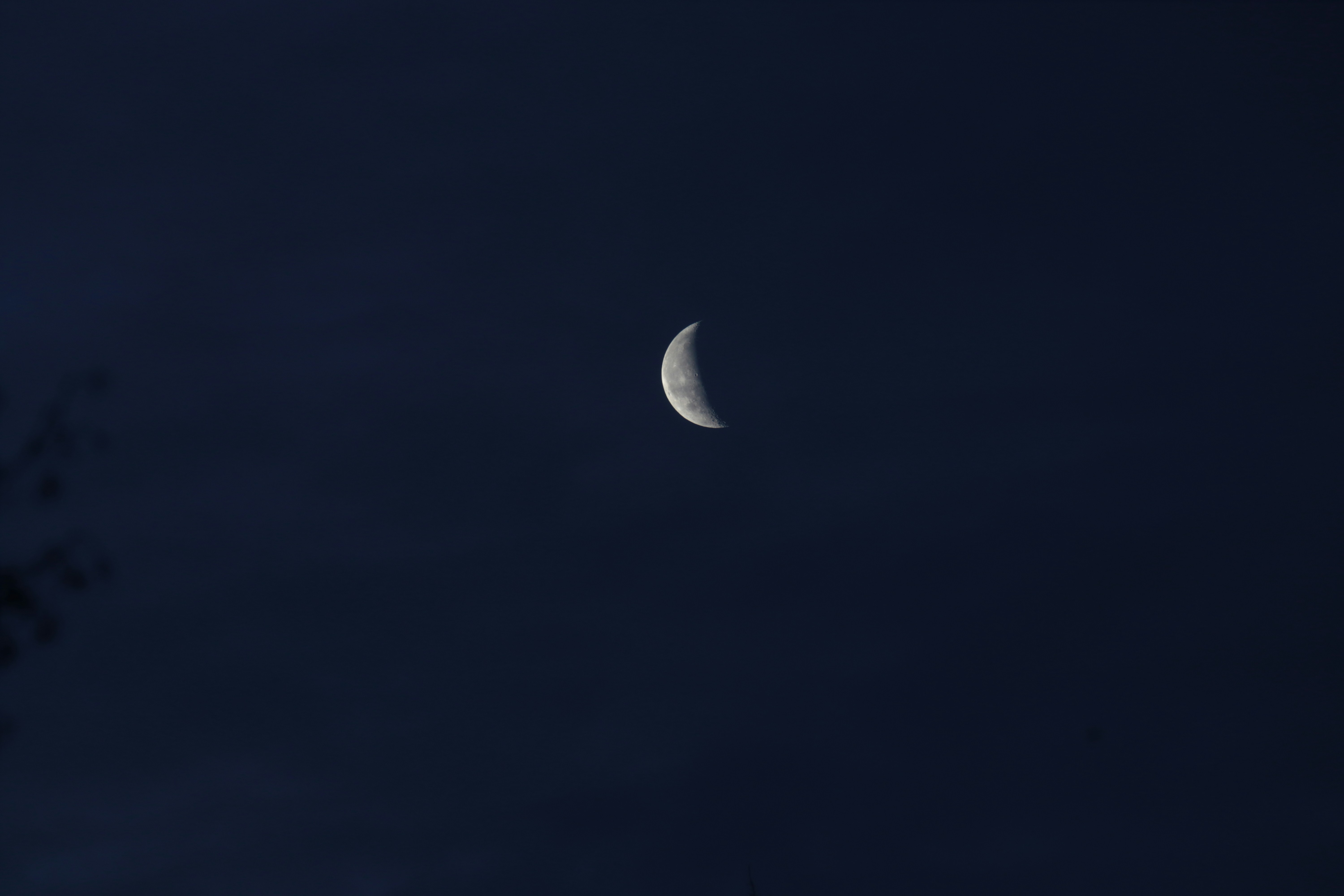 Photo by ucwhphotography