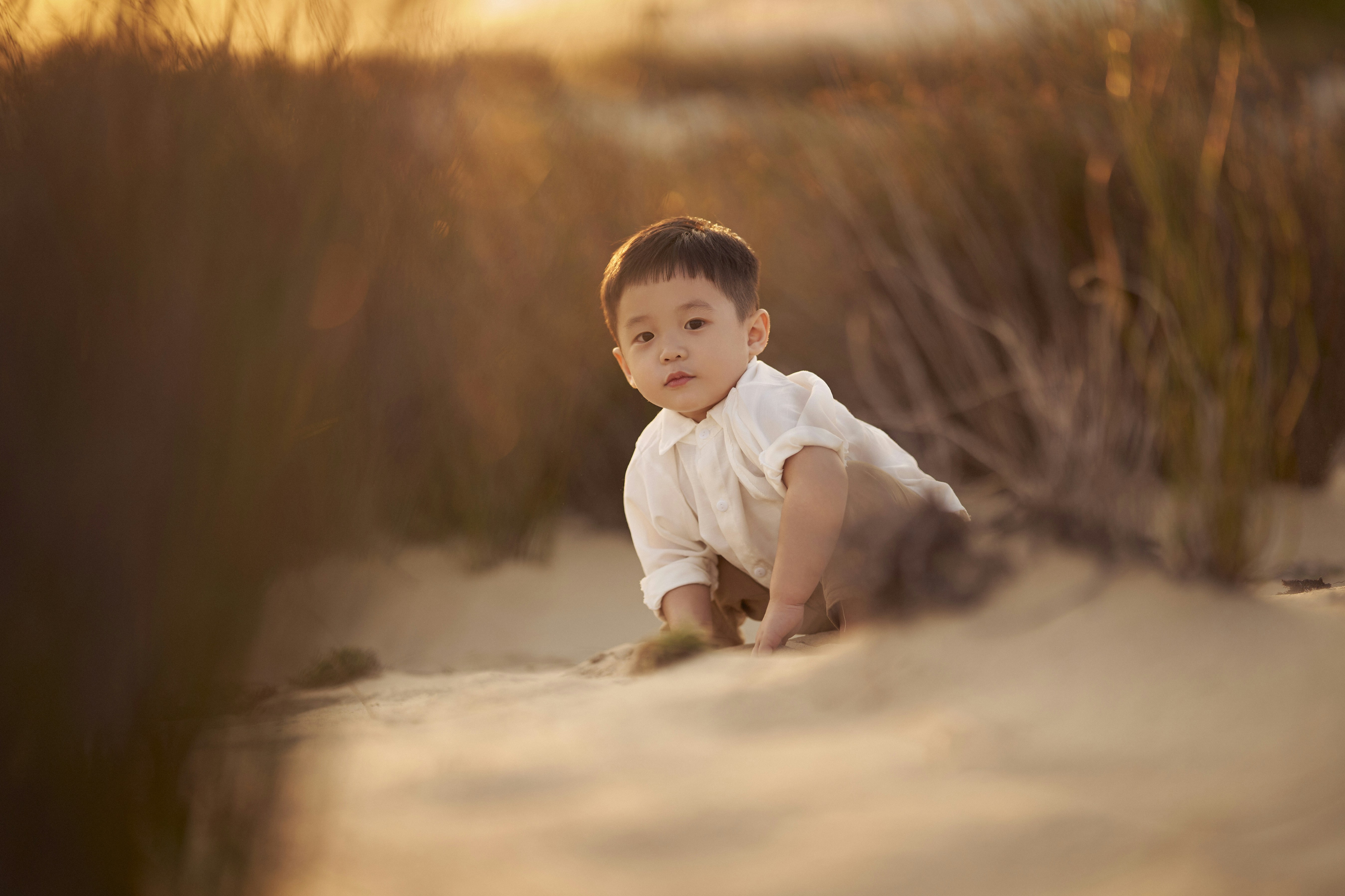 Photo by thanhthangphoto