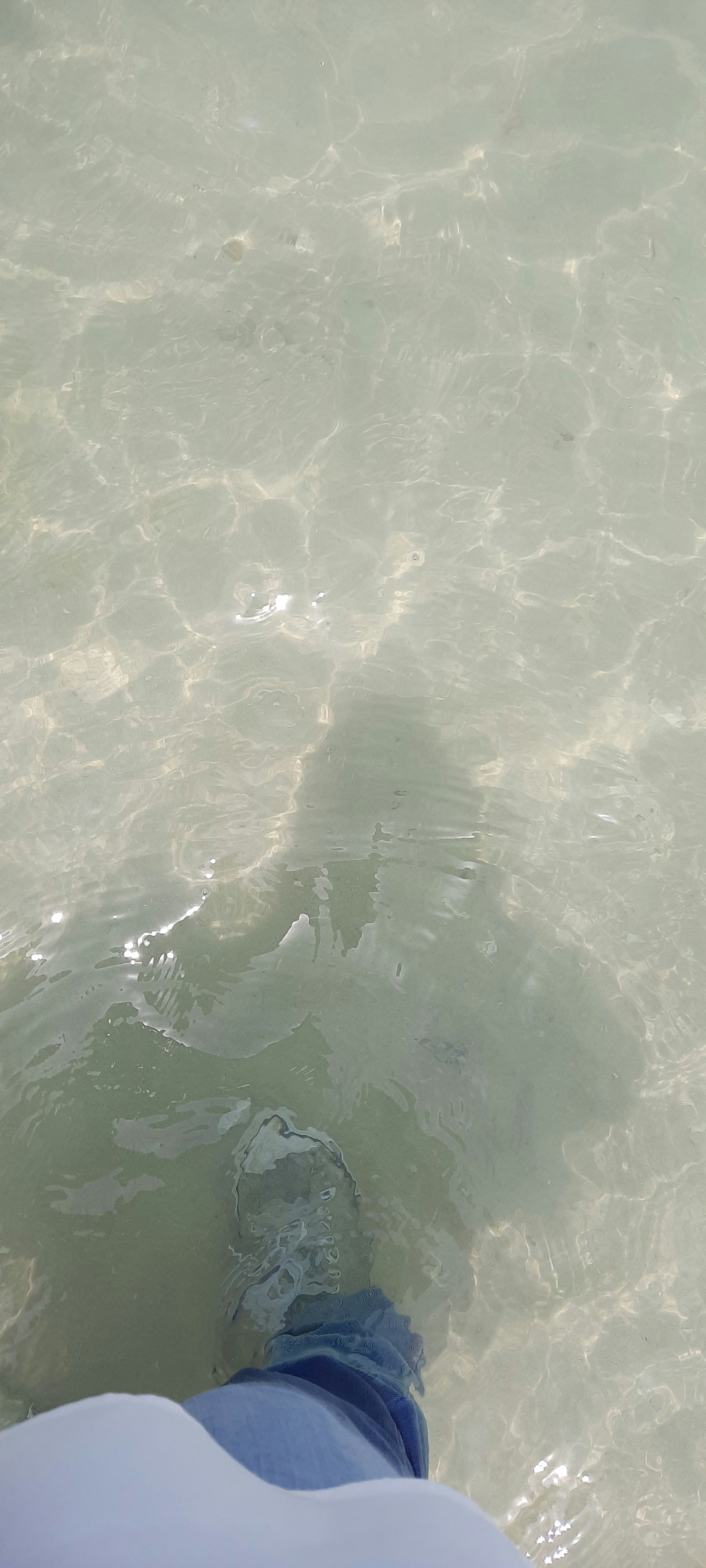 a person in the water with their feet in the water