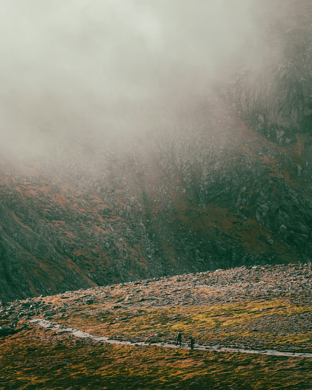 a couple of people walking up a hill