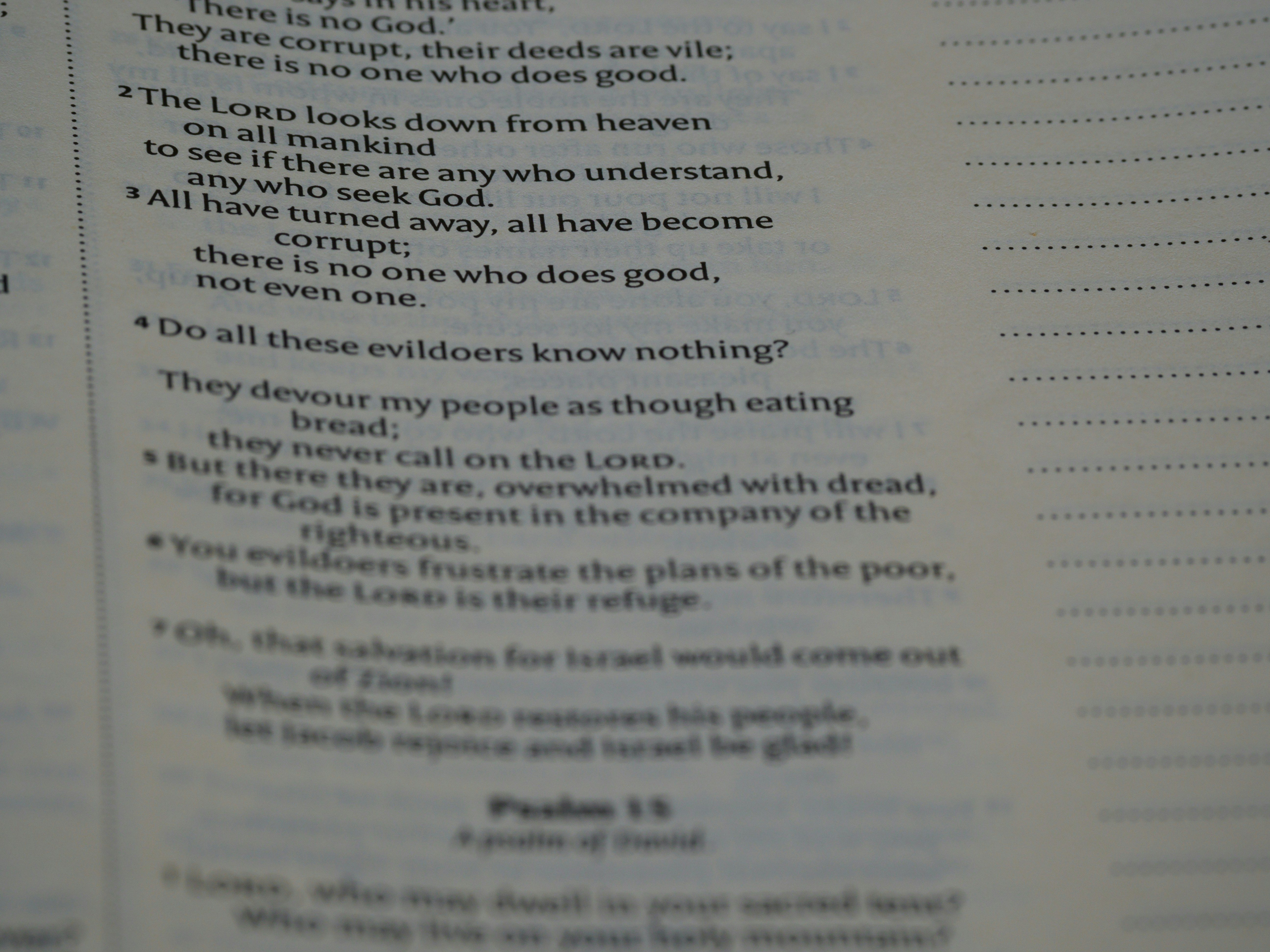 a close up of a text on a book
