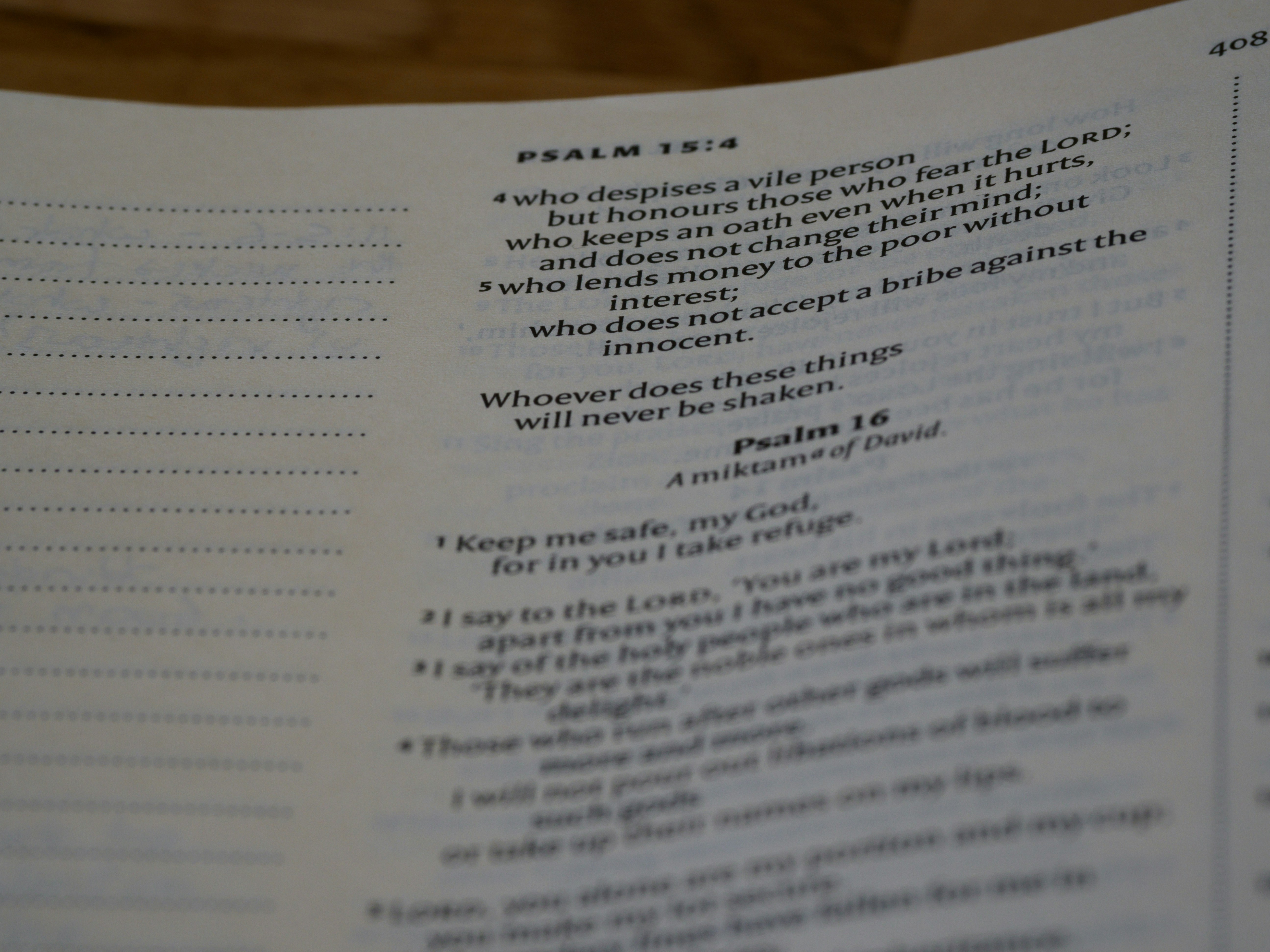 Photo by brett_jordan