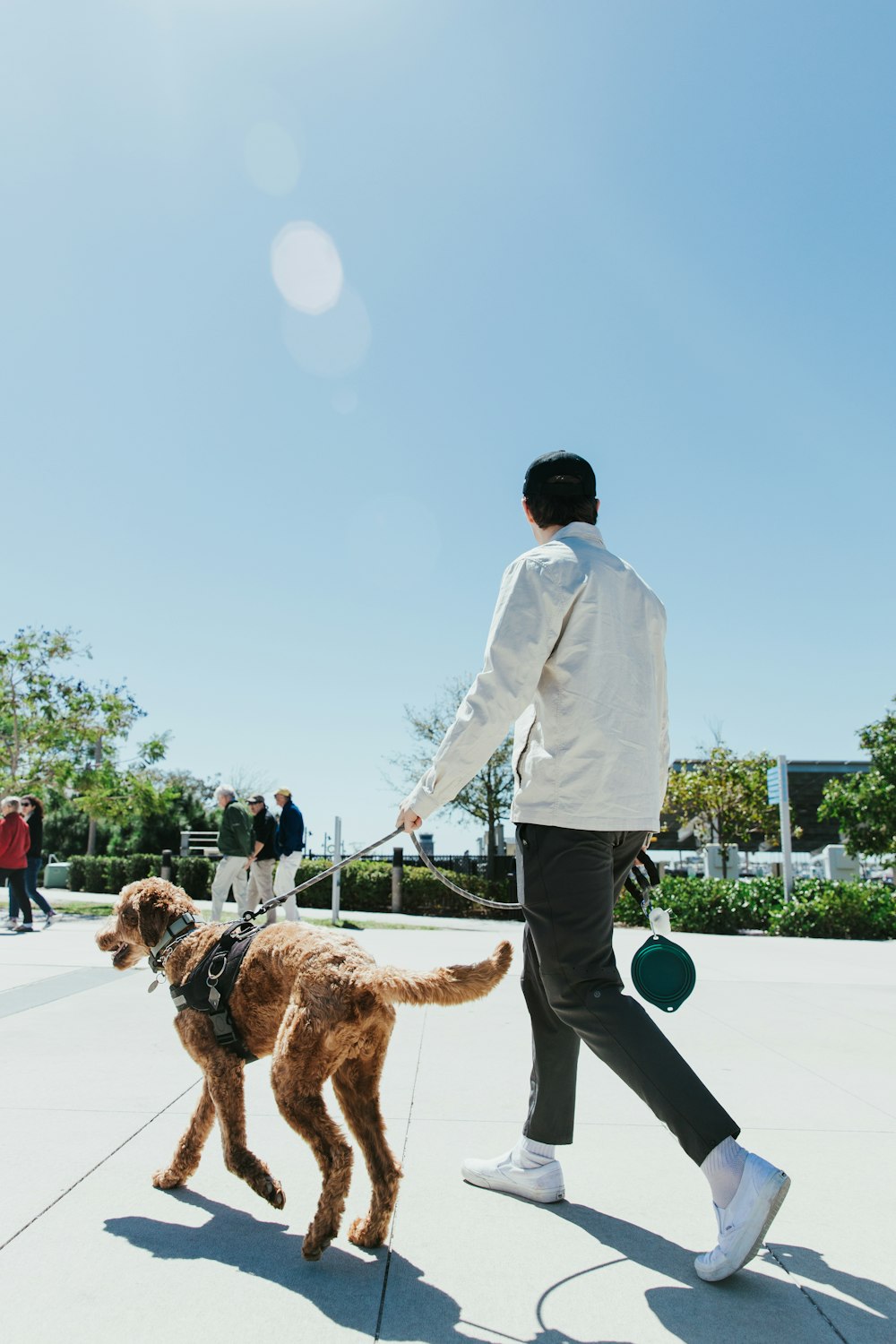 a man walking a dog on a leash