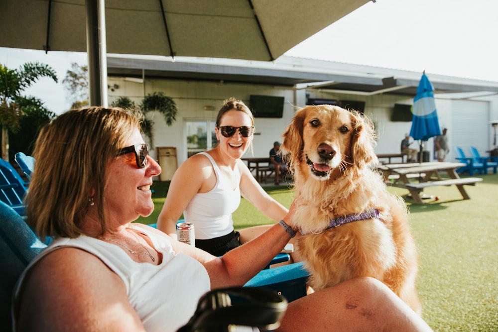 a woman sitting in a chair with a dog