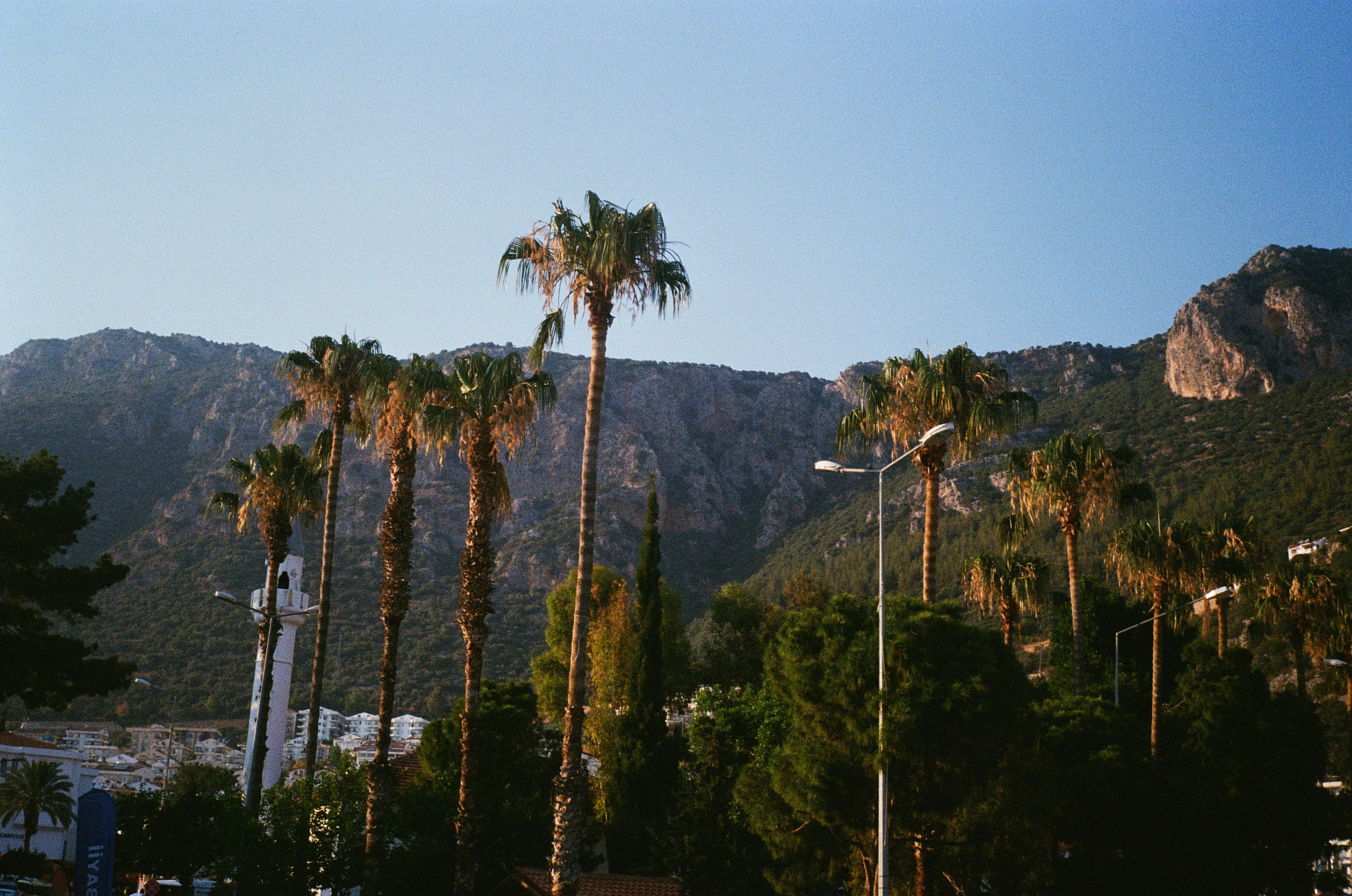 Containers in Palm Springs, CA