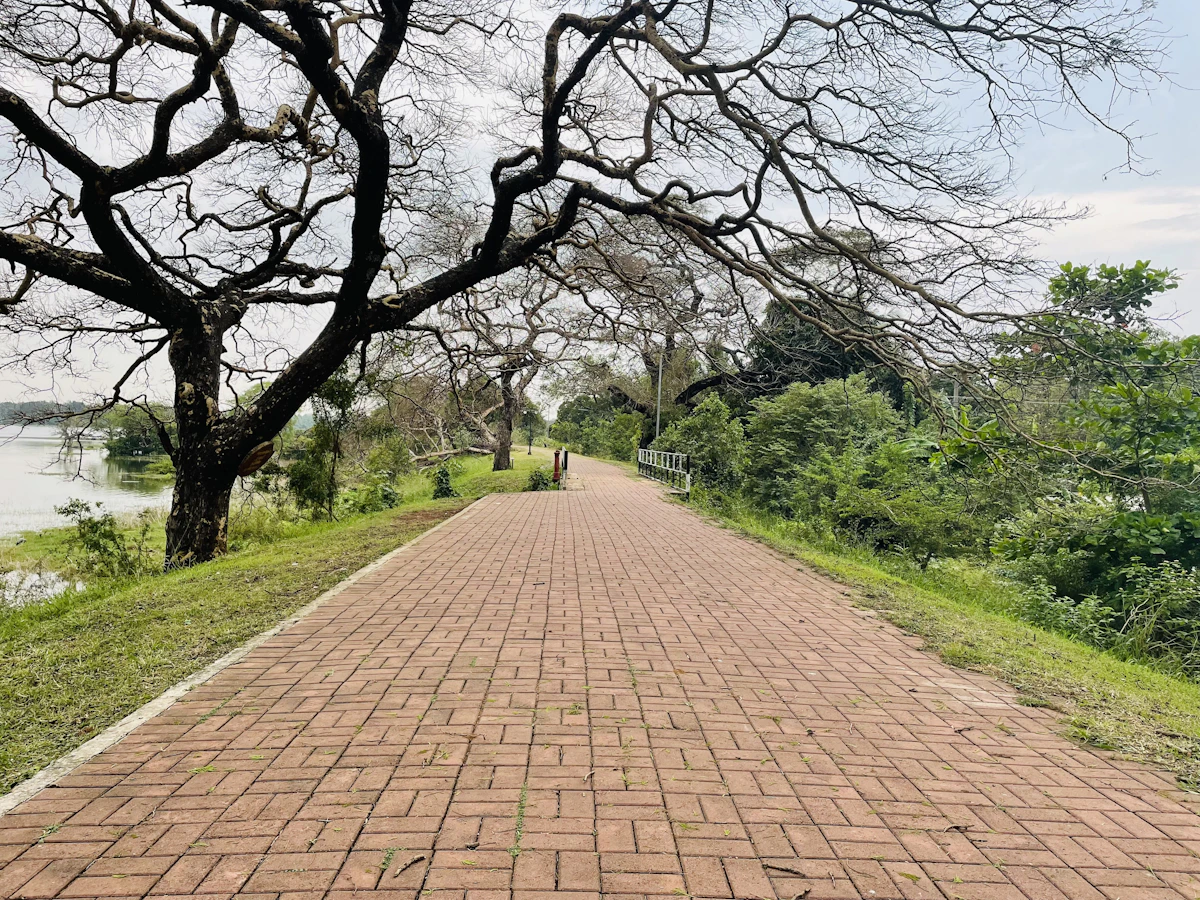 Ancient landscape and waterway in Anuradhapura