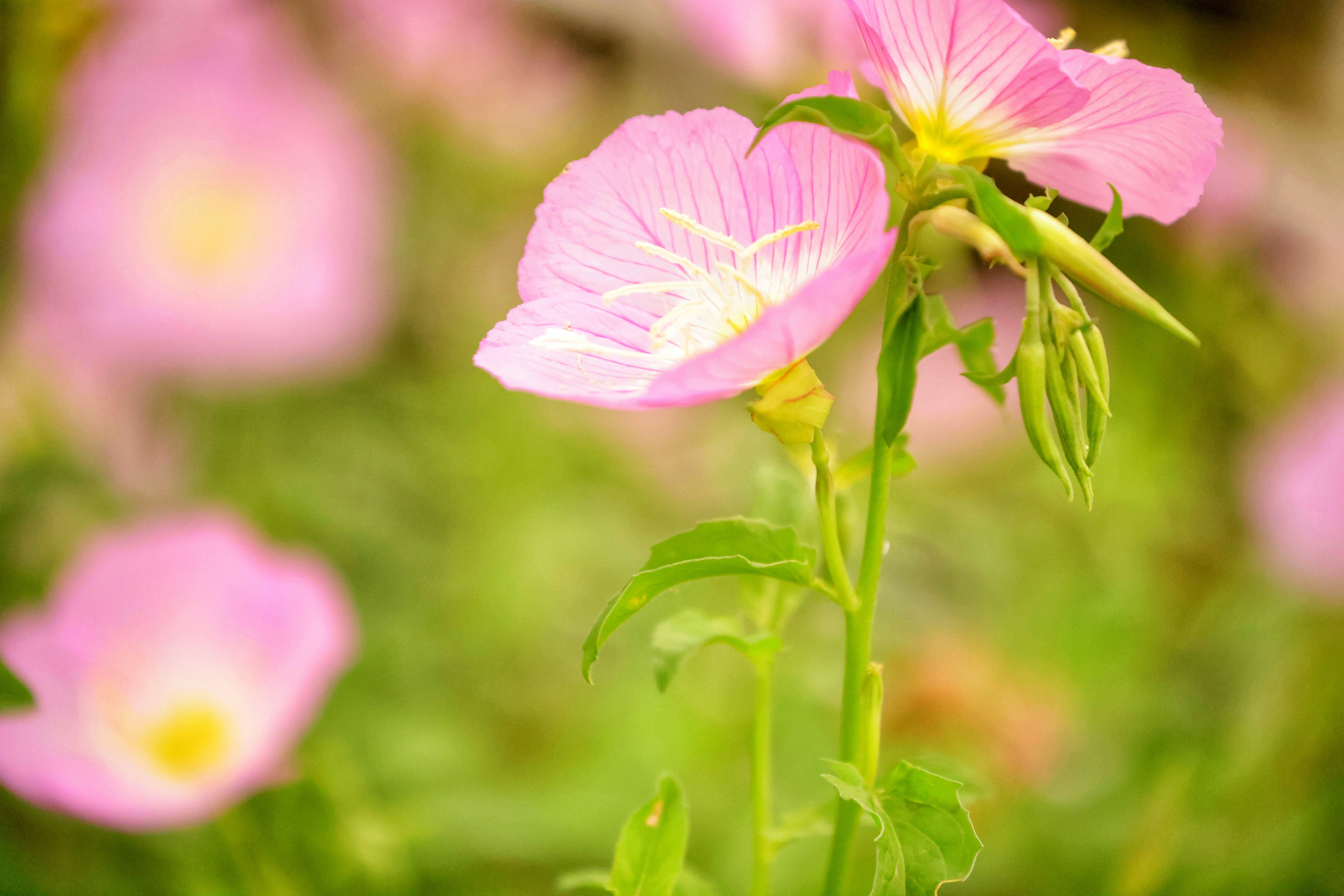 Photo by dickenslin76