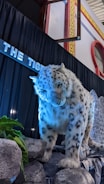 A realistic model of a snow leopard is displayed against a backdrop of black curtains and a stone wall. The model is positioned as if prowling, with detailed fur patterning illuminated by blue lighting. Green leaves and artificial rocks are placed at its feet.