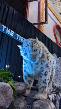 A realistic model of a snow leopard is displayed against a backdrop of black curtains and a stone wall. The model is positioned as if prowling, with detailed fur patterning illuminated by blue lighting. Green leaves and artificial rocks are placed at its feet.