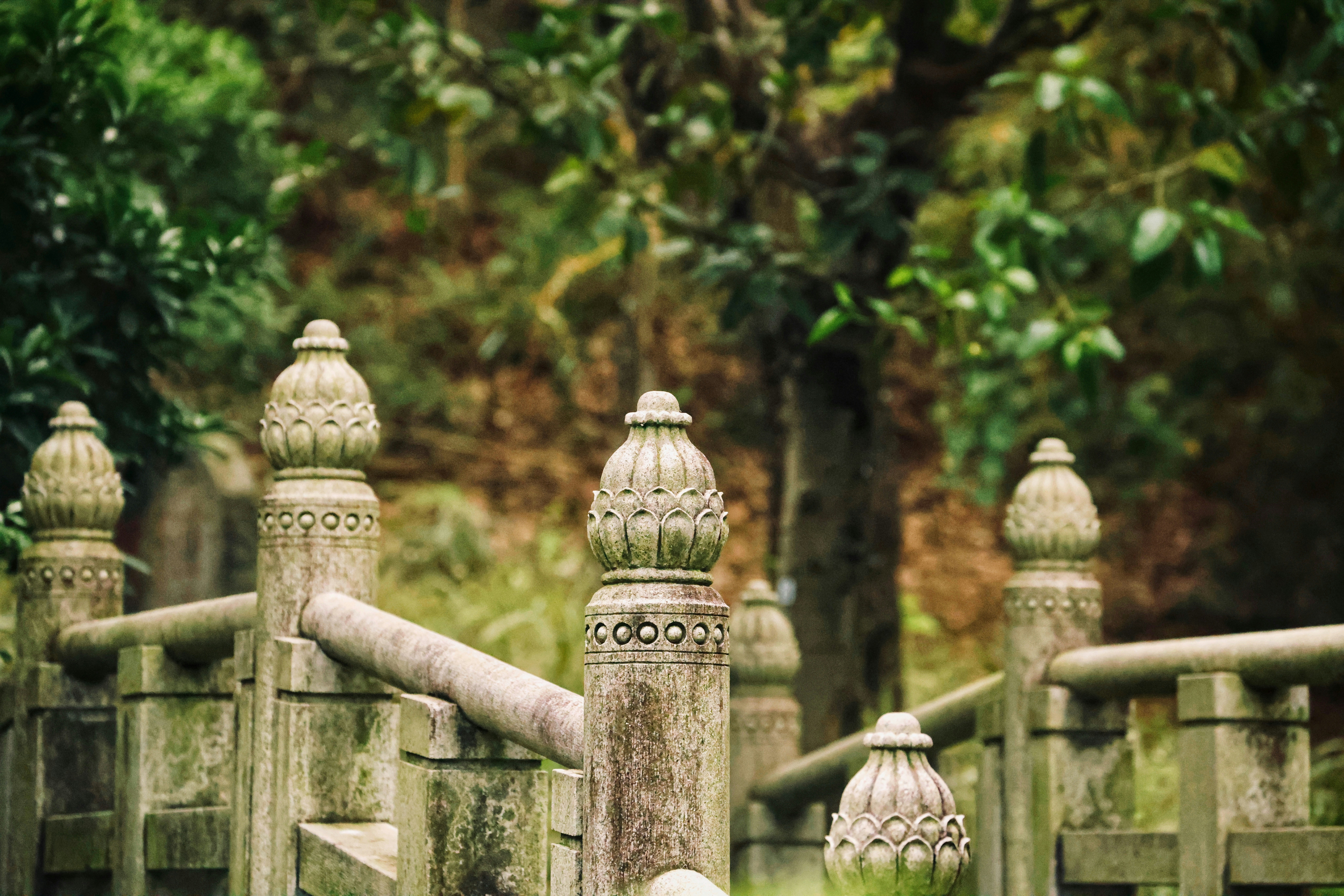 Photo by dickenslin76