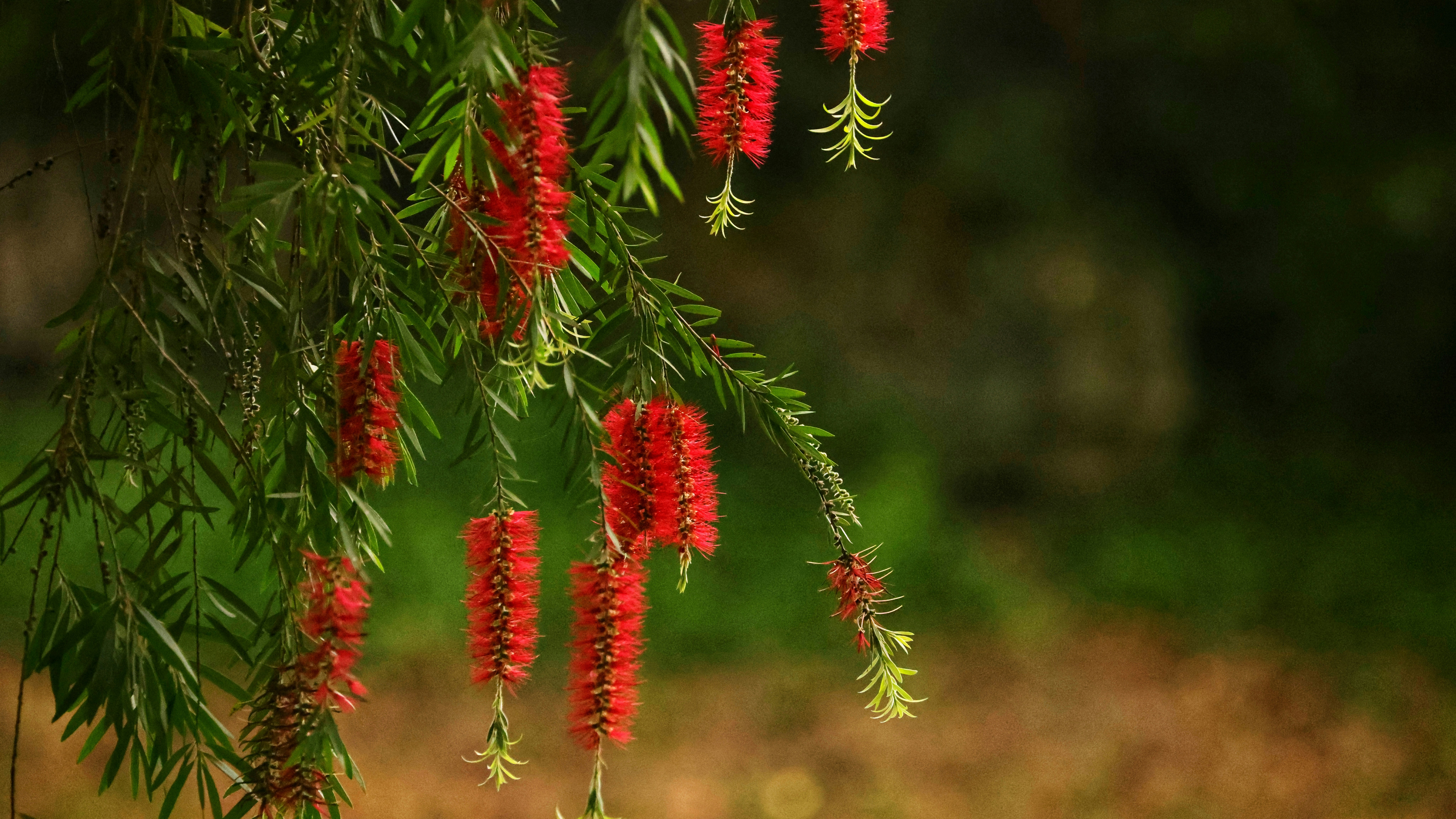 Photo by dickenslin76