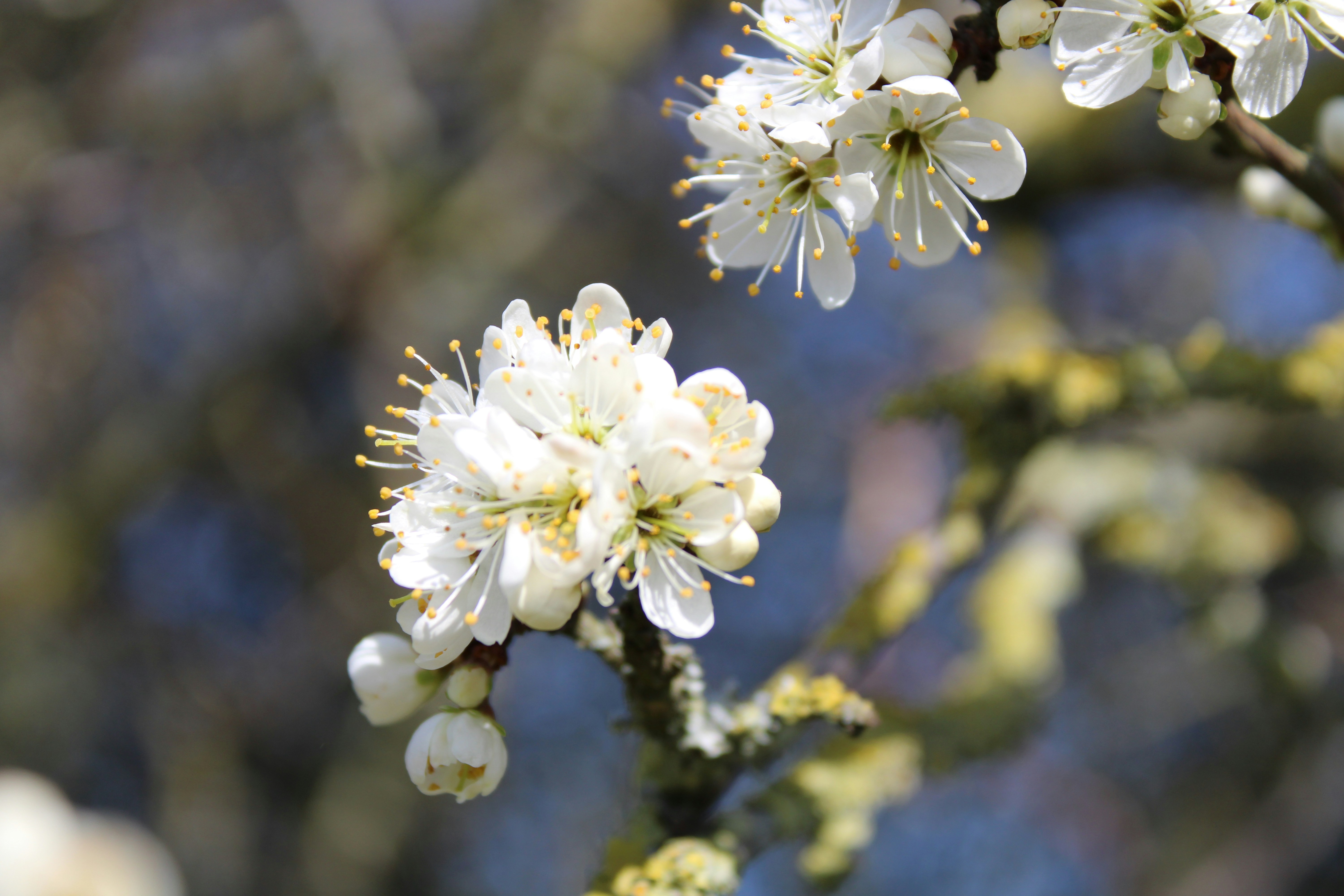 Photo by balesphotographyco