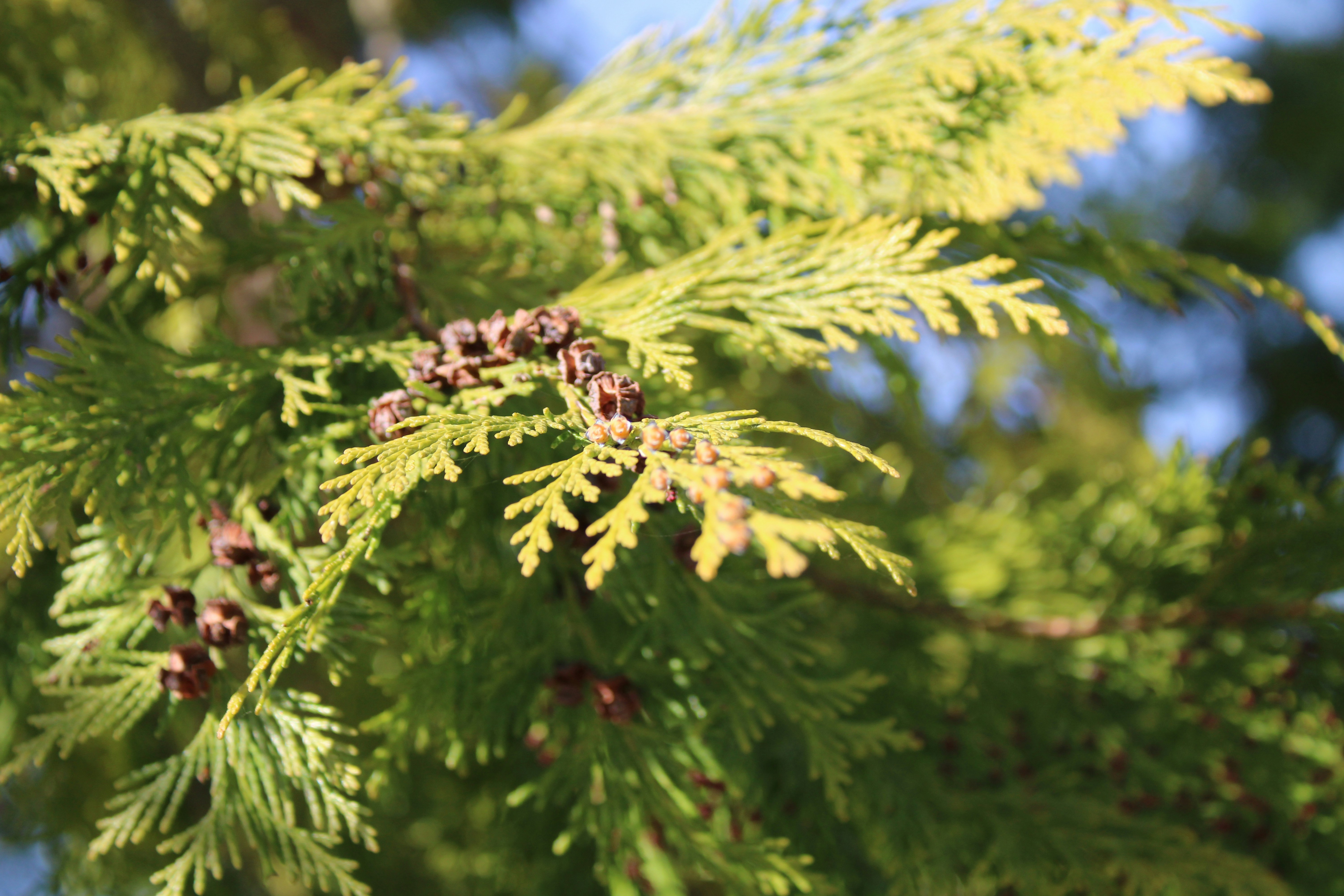 Photo by balesphotographyco