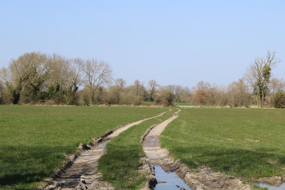 a muddy road in a grassy field with trees in the background