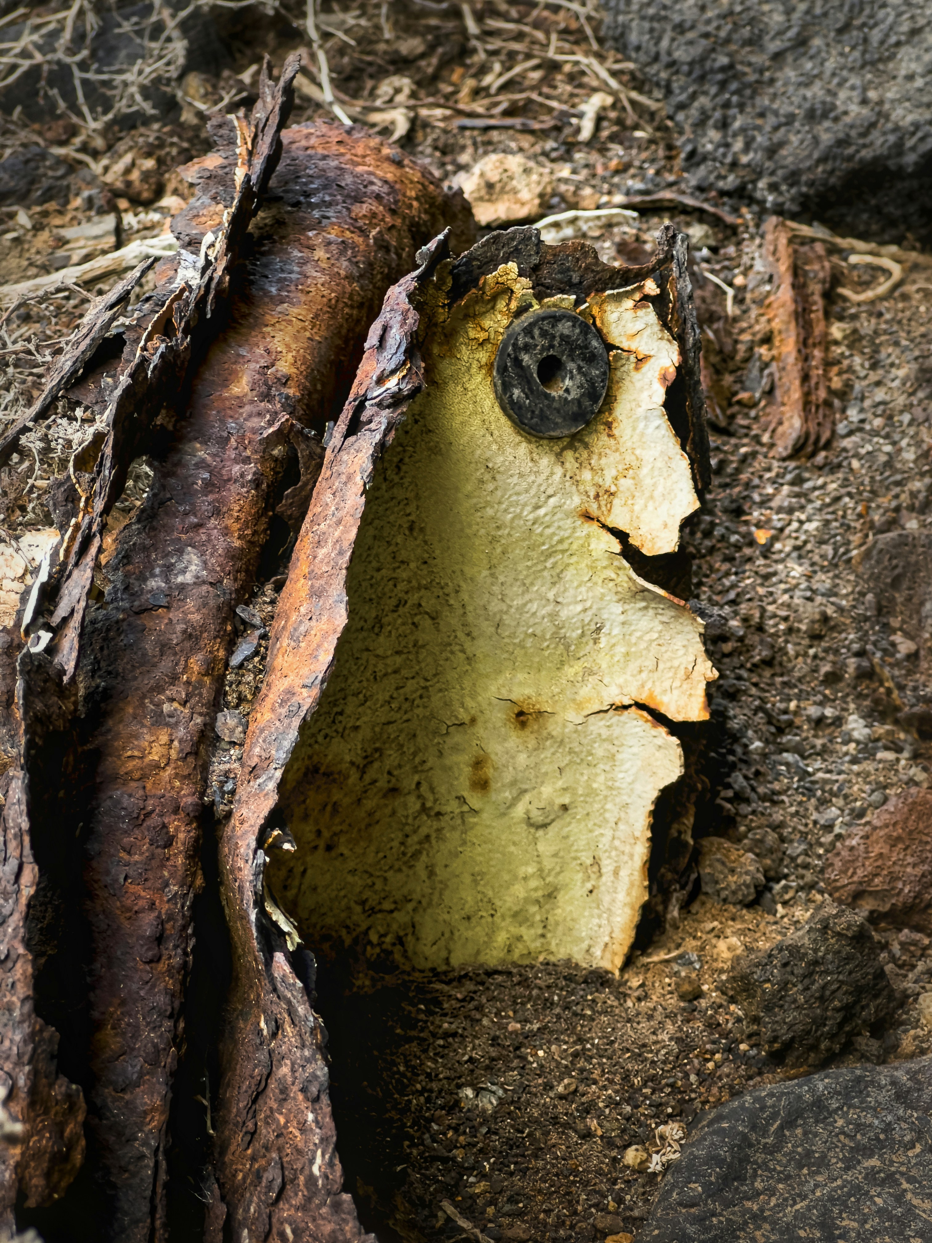 a piece of wood that has been split in half